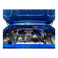 1980-1997 Hood Strut Kit